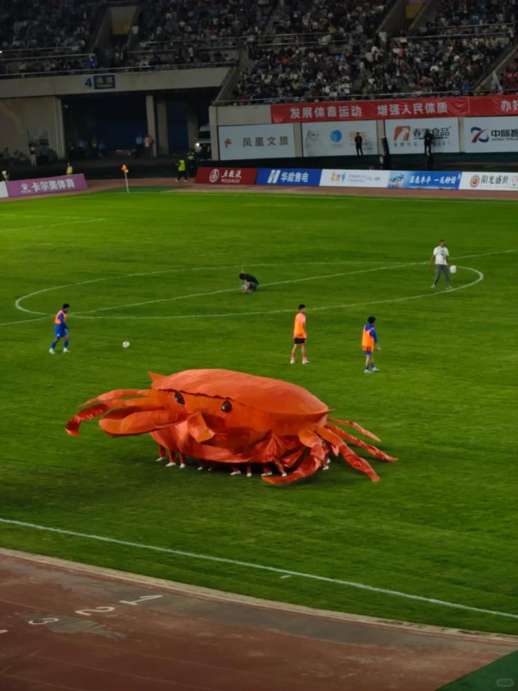 职业入场券, AA, 山东的卷还 职业入场券, AA, 山东的卷还