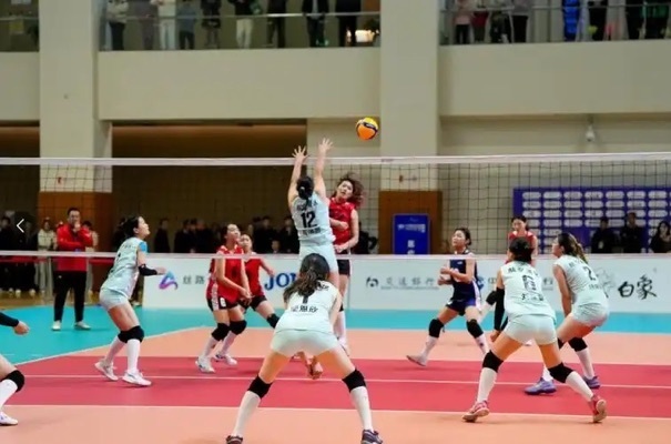 是早早退役 是早早退役